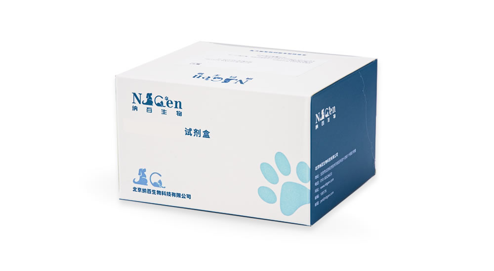 宠物药敏检测试剂盒